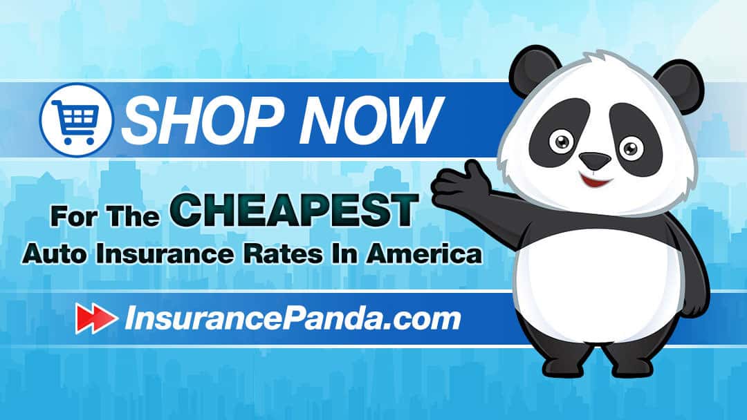 Car Insurance Google+ Banner Example